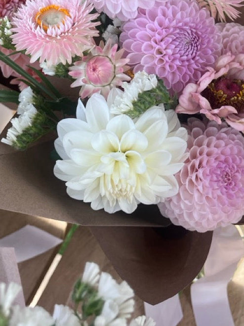 White Aster